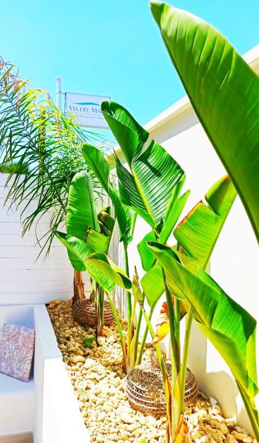 פרזיצ'ה B&B Suites Via Del Mare מראה חיצוני תמונה