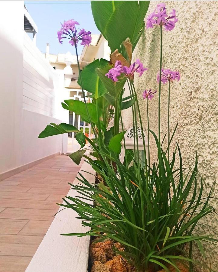 פרזיצ'ה B&B Suites Via Del Mare מראה חיצוני תמונה